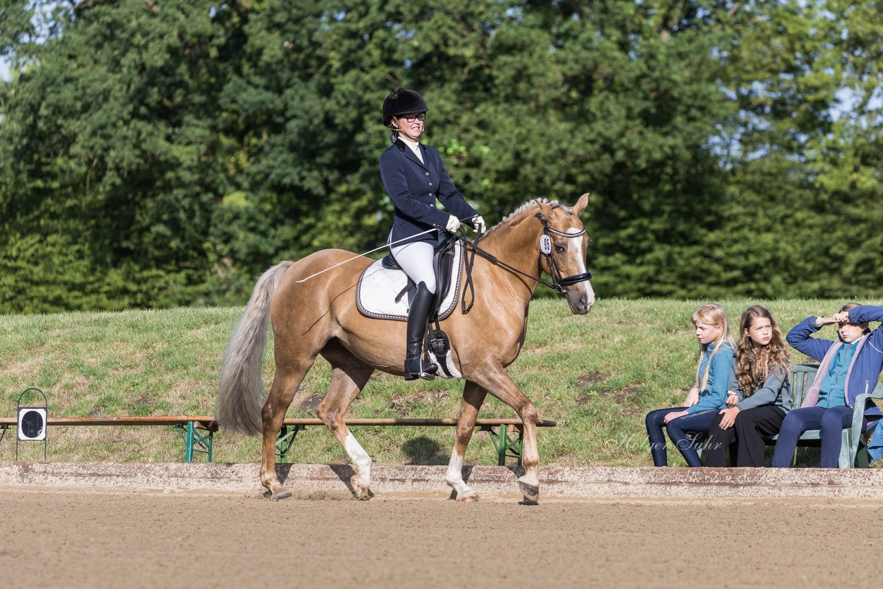 Bild 19 - Pony Akademie Turnier